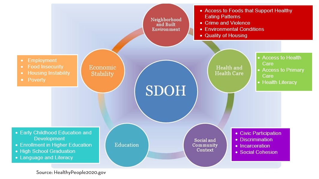 Nursing Impact on Social Determinants of Health (SDOH) Part 1